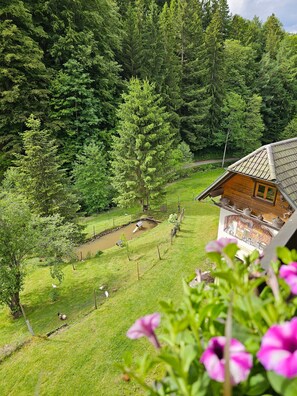 A wooden cabin with a sloped roof, surrounded by dense forest and a small pond.