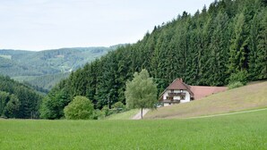 A house with a sloped roof, surrounded by a lush green field and dense forest. - Apartment 'Ringwald' with Mountain View, Shared Garden and Wi-Fi (Biederbach)