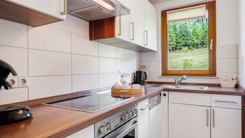 Fridge, oven, stovetop, dishwasher