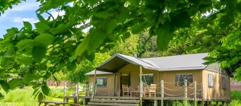 Cygnet at Exton Park