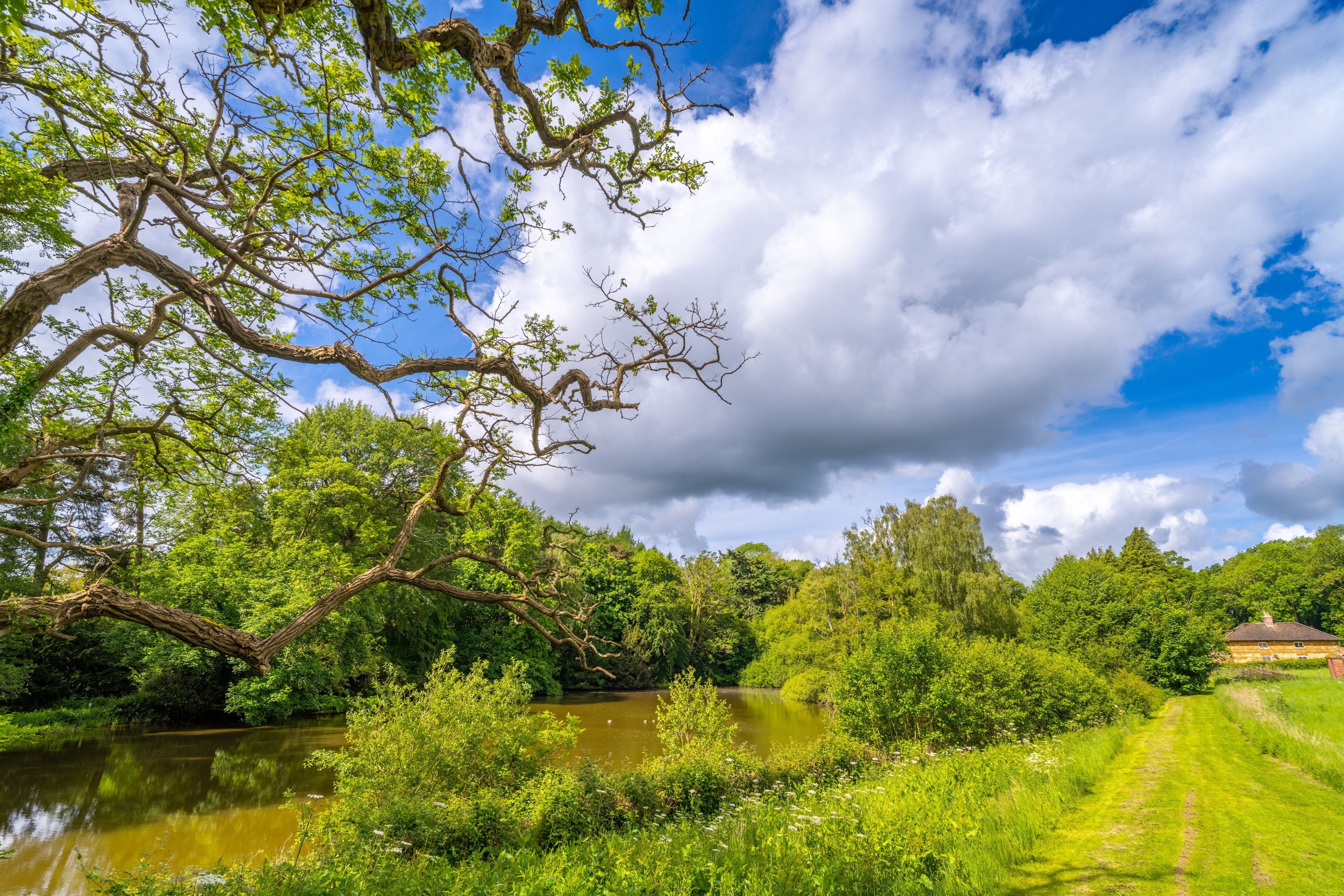 A river with lush greenery and a clear sky.