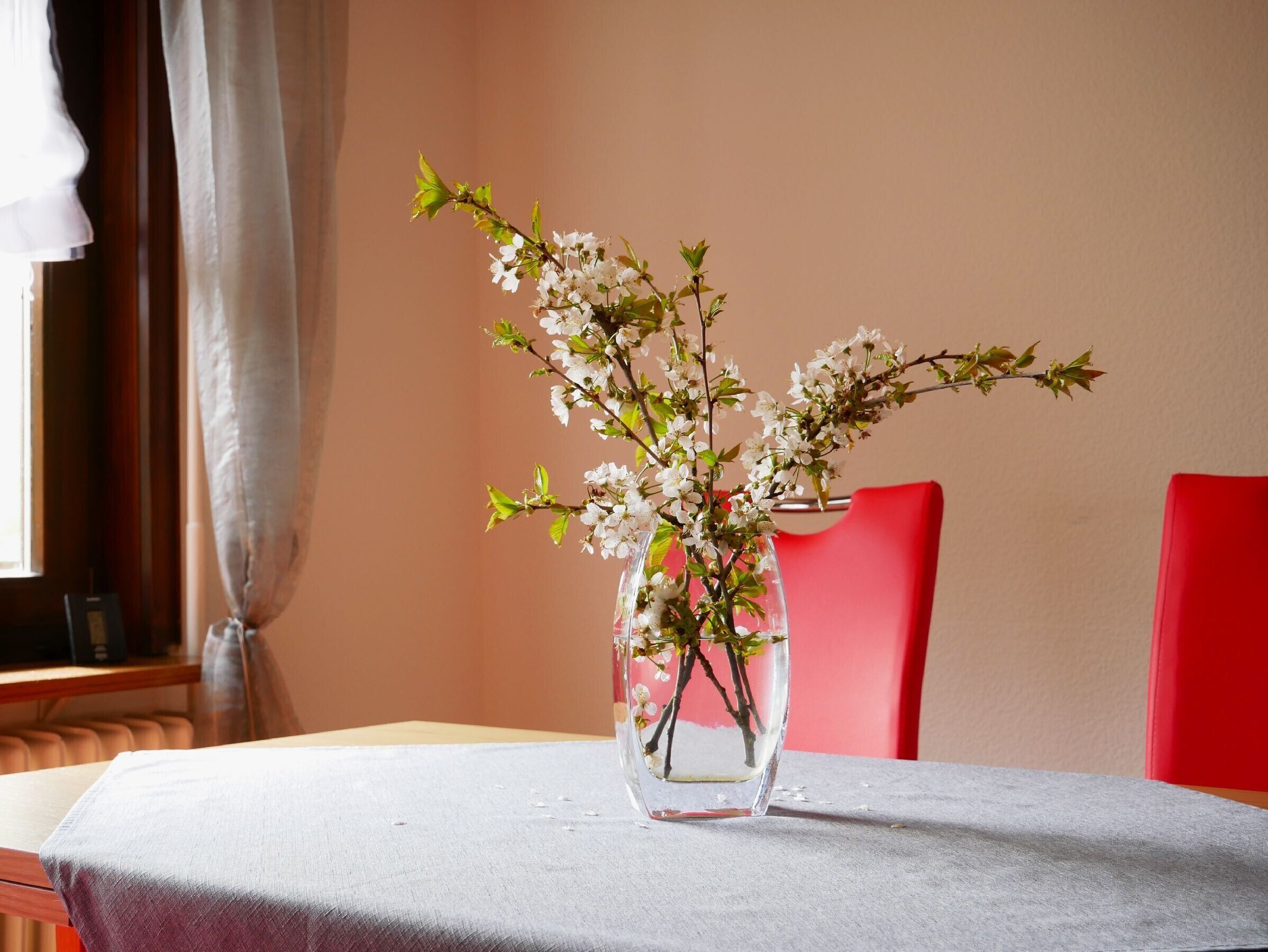 A clear glass vase with white flowers on a table.
