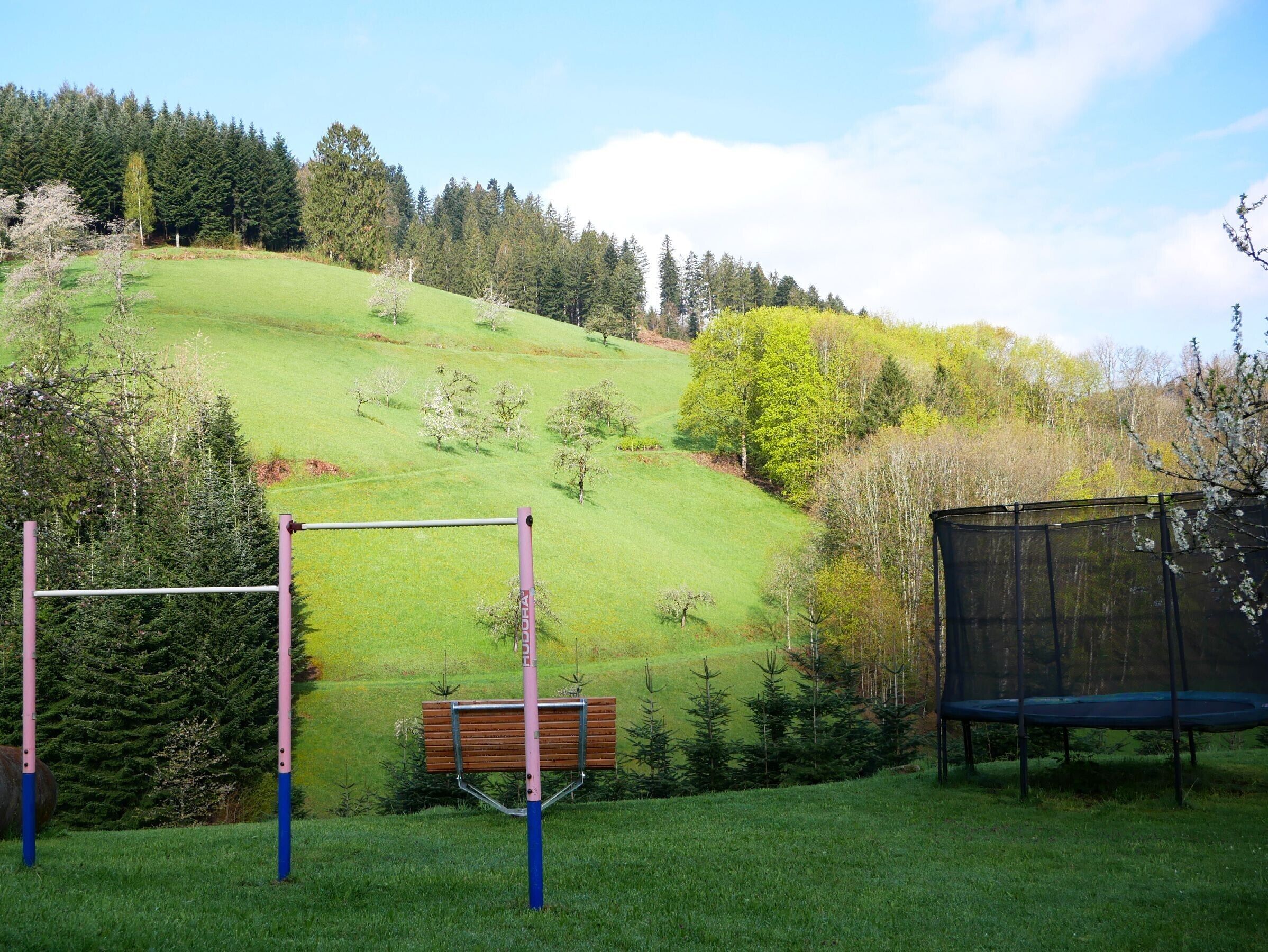 A grassy outdoor area with a wooden bench, a trampoline, and a metal structure.