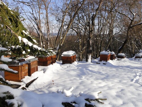 Apartment 'Bienenherz' with Private Terrace, Shared Garden, and Wi-Fi