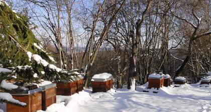 Apartment 'Bienenherz' with Private Terrace, Shared Garden, and Wi-Fi