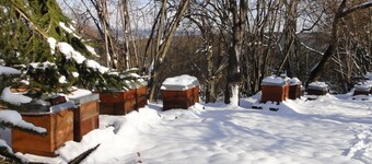 Apartment 'Bienenherz' with Private Terrace, Shared Garden, and Wi-Fi