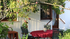 A patio with a table and chairs, a potted plant, and a fruit tree. - Apartment 'Bienenherz' with Private Terrace, Shared Garden, and Wi-Fi (Engelsbrand)
