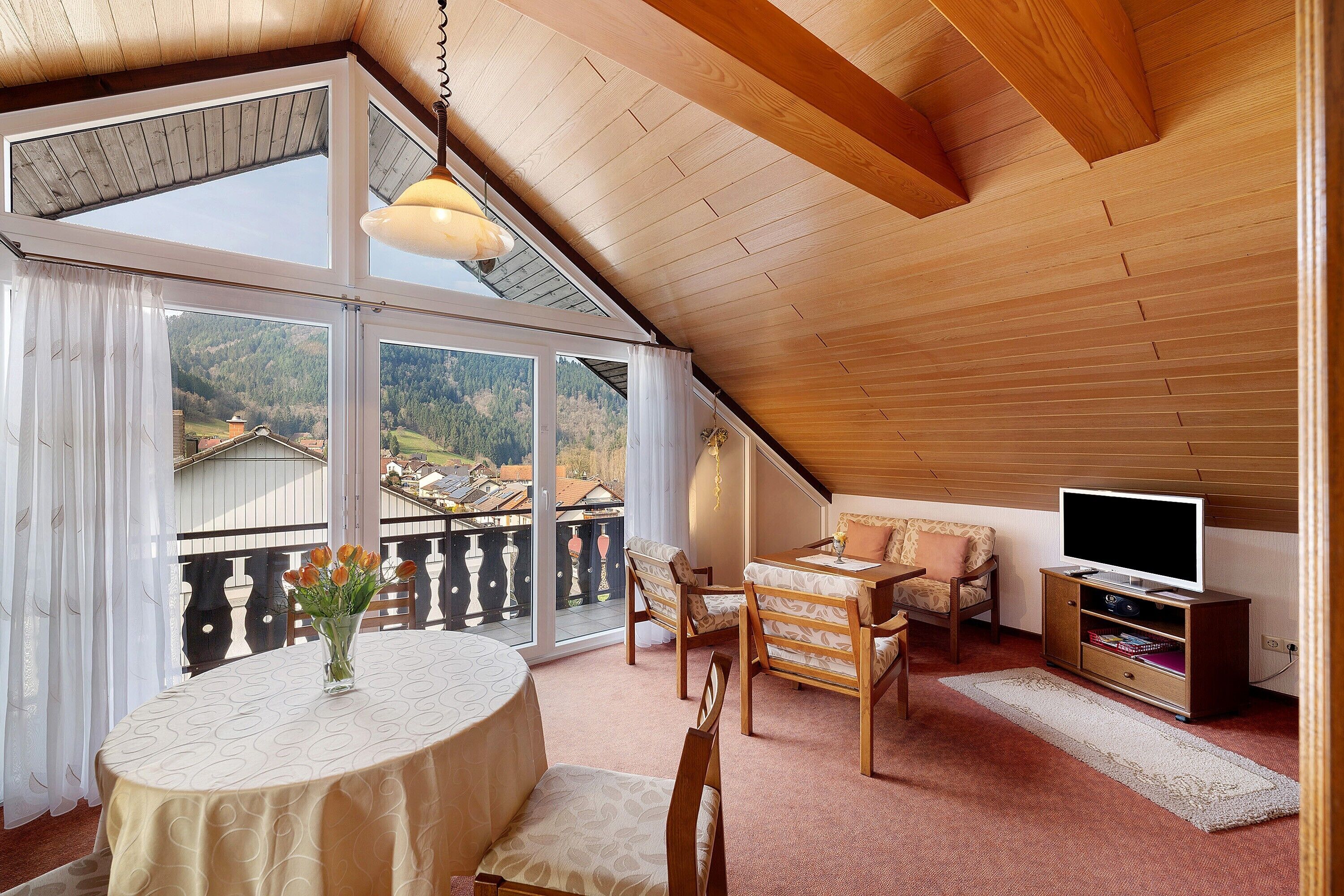 Televisión, mesa de ping pong, estéreo