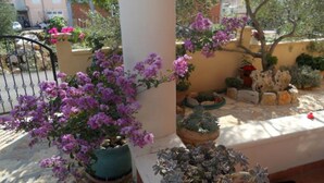 A balcony with potted plants and a metal gate.