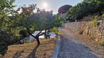 Área da propriedade