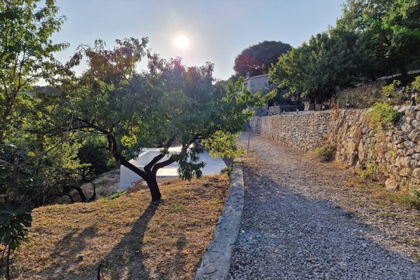 Área da propriedade