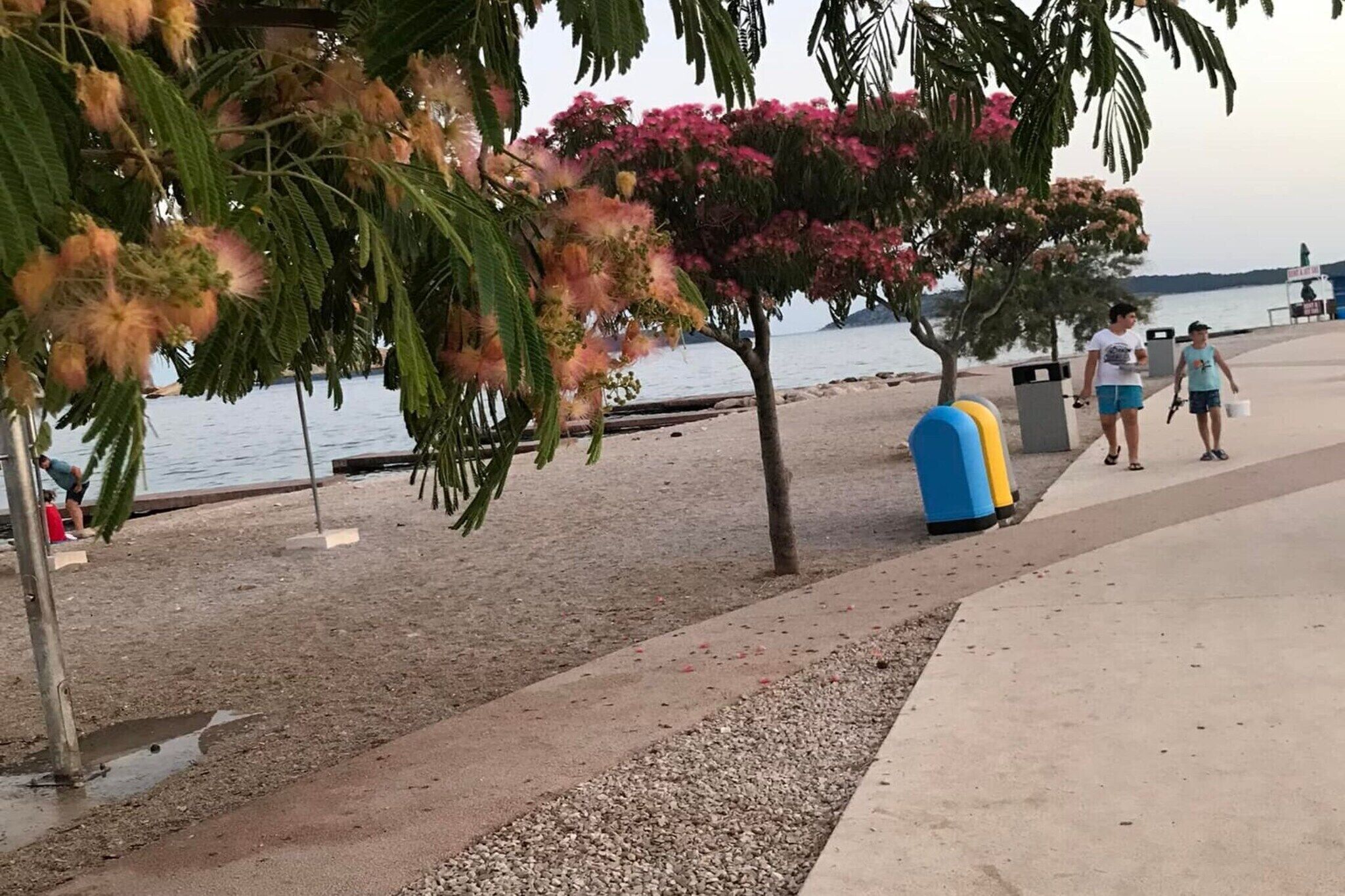 A coastal walkway with trees and a view of the sea.