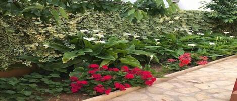 Overnattingsstedets uteområder