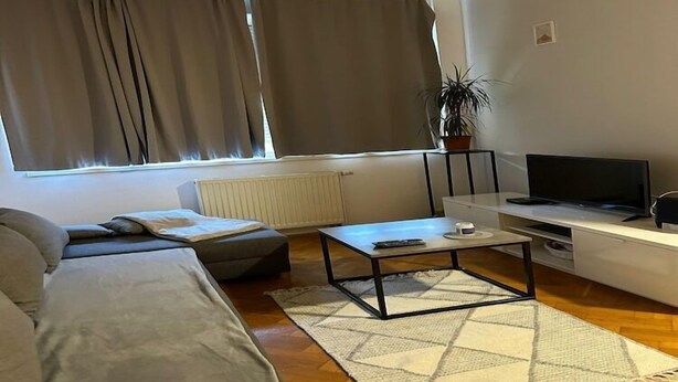 Una sala de estar moderna con un sofá, una mesa de centro, un televisor y un radiador.