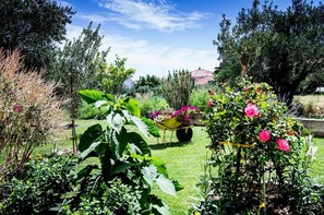 Property grounds - Two Bedroom Apartment with Balcony (Kastel Novi)