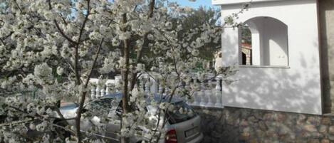 Overnattingsstedets uteområder