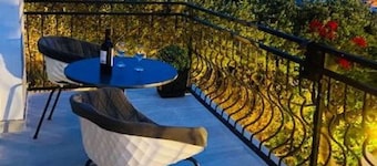 Villa Brazza - Studio Apartment