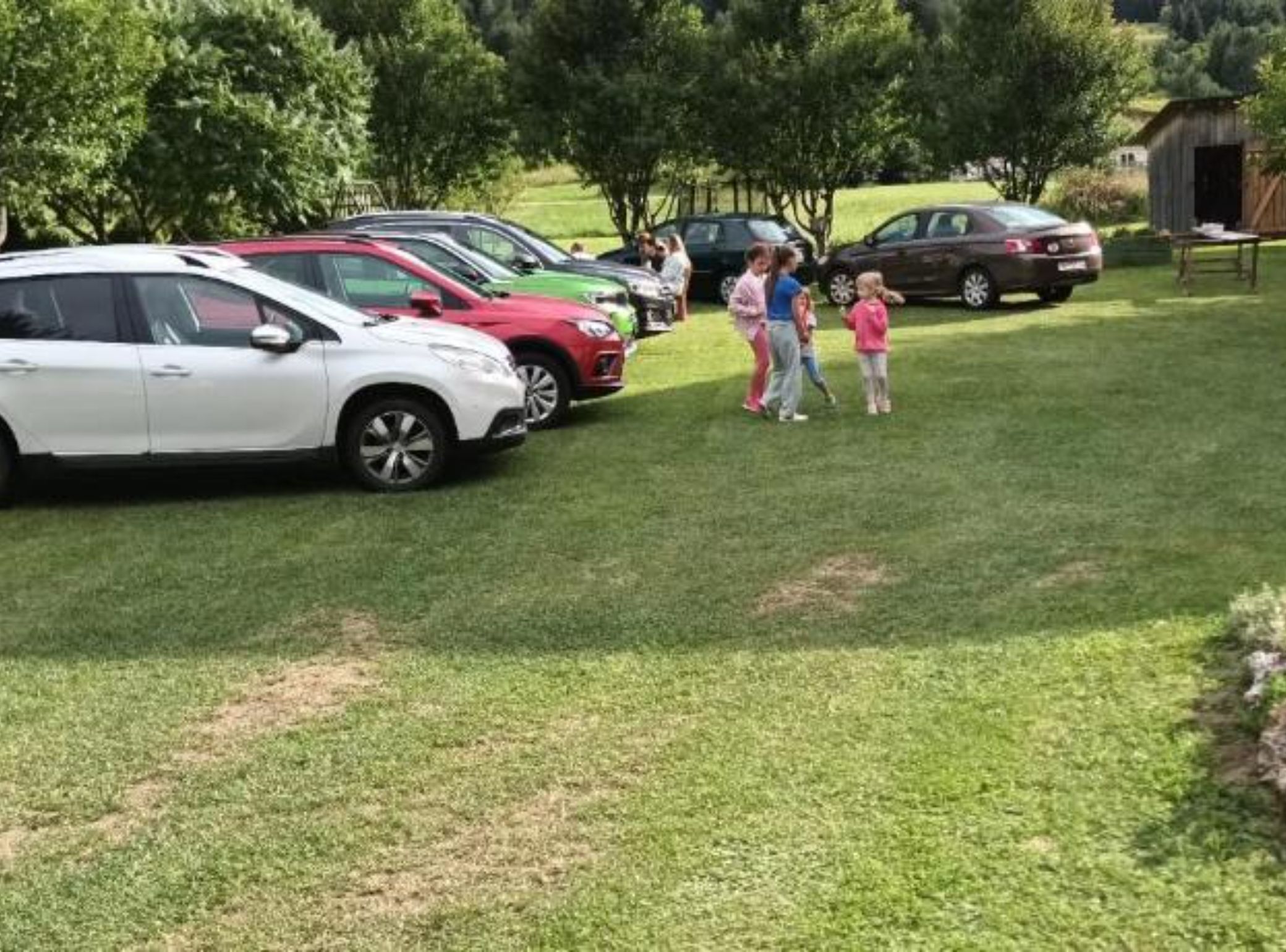 Un área con césped, coches aparcados y una pequeña estructura de madera.