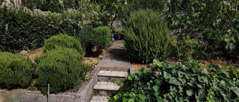 Overnattingsstedets uteområder