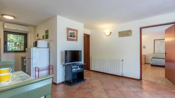 تلفزيون ذكي