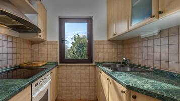 Fridge, oven, stovetop, dishwasher