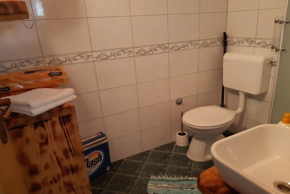Shower, hair dryer
