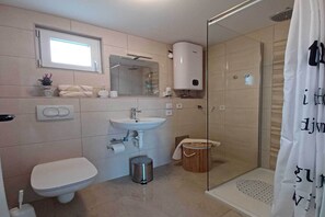 Shower, hair dryer, towels