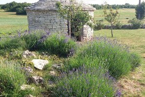 المنطقة المحيطة بالمنشأة
