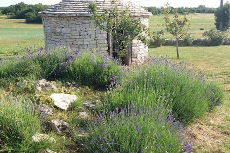 Property grounds. Authentic Istrian Rooms for Unforgettable Stays - Doube Room