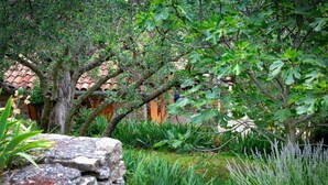 Um jardim com caminhos de pedra, árvores e um muro de tijolos.