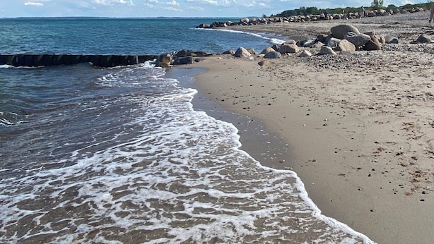 A beach with a rocky shoreline and calm waves. - Uniquely charming thatched cottage with 900 square meters of land and a view of the Baltic Sea Pure nature (Damp)