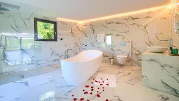 Shower, hair dryer