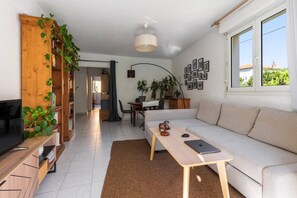TV - Large 2 room apartment and beautiful terrace (Niza)