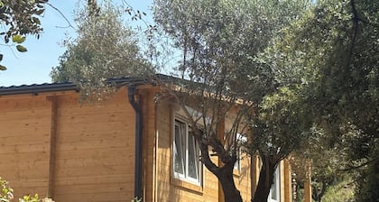 Gîte du Sanglier Magique - wooden chalet & spells at the Oasis des Corbières