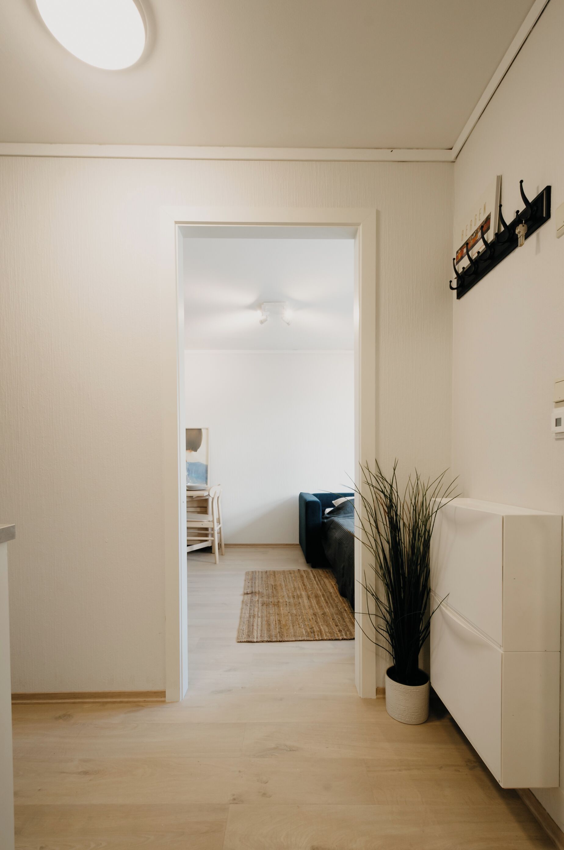 Ein Flur mit Holzboden, weißer Wand, einem schwarzen Regal mit Dekoration und einer Topfpflanze.