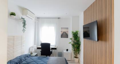 Paris: room with comfort, cosiness and shared areas Chamartín – Mauricio Legendre
