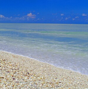 Una playa con aguas turquesas cristalinas y orilla de guijarros.