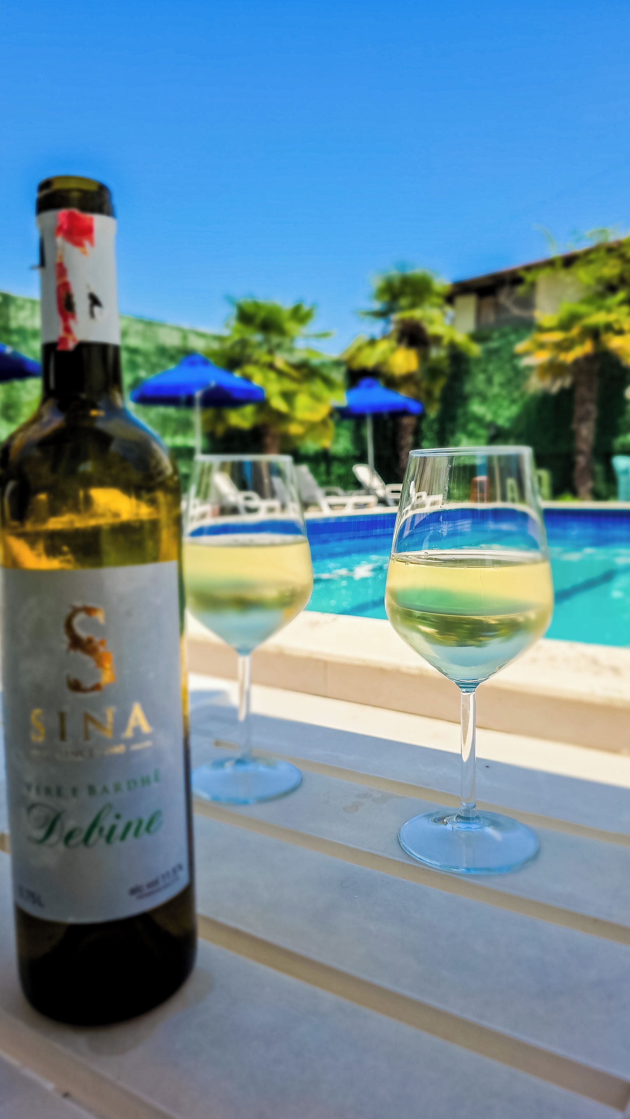 A bottle of SINA wine and two glasses of white wine by a poolside.