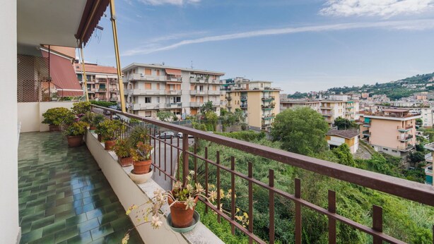 Un balcon agrémenté de plantes en pot, une vue sur un quartier résidentiel et un ciel dégagé.