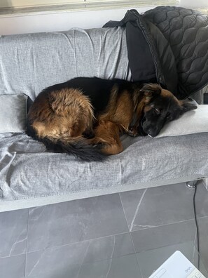 Sisätilat
