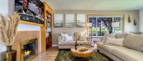 テレビ、暖炉、ステレオ