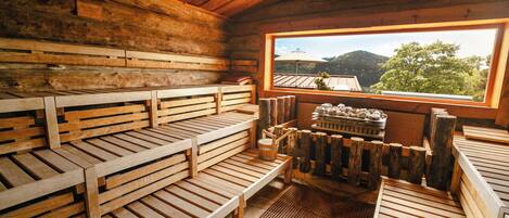 A sauna room with wooden benches and a view of the outside.