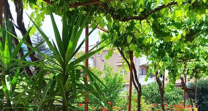 Guest house Rade Z