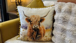 A yellow armchair with a white fluffy throw blanket and a cushion featuring a cow design. - The Highland Cow Bothy (Longridge)