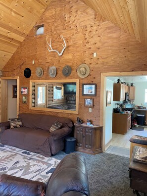 Televisión, reproductor de DVD y libros 