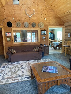 Televisión, reproductor de DVD y libros 