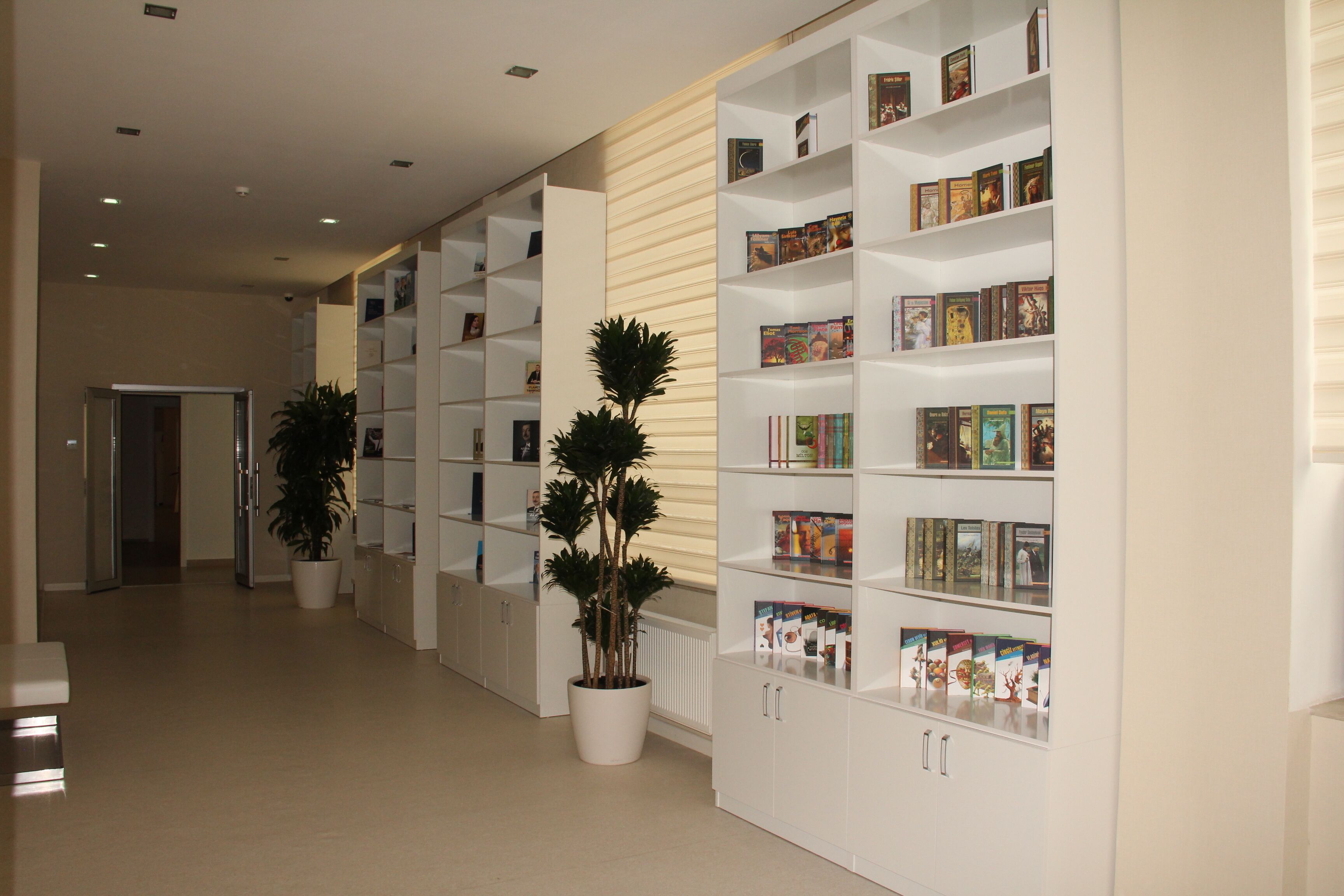 A modern library with white shelving units and potted plants.