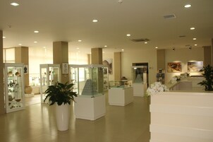 Recepción