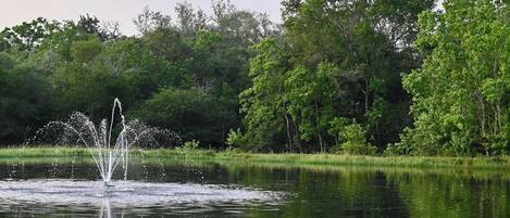 A tranquil pond with a fountain in the center, surrounded by lush greenery and trees.