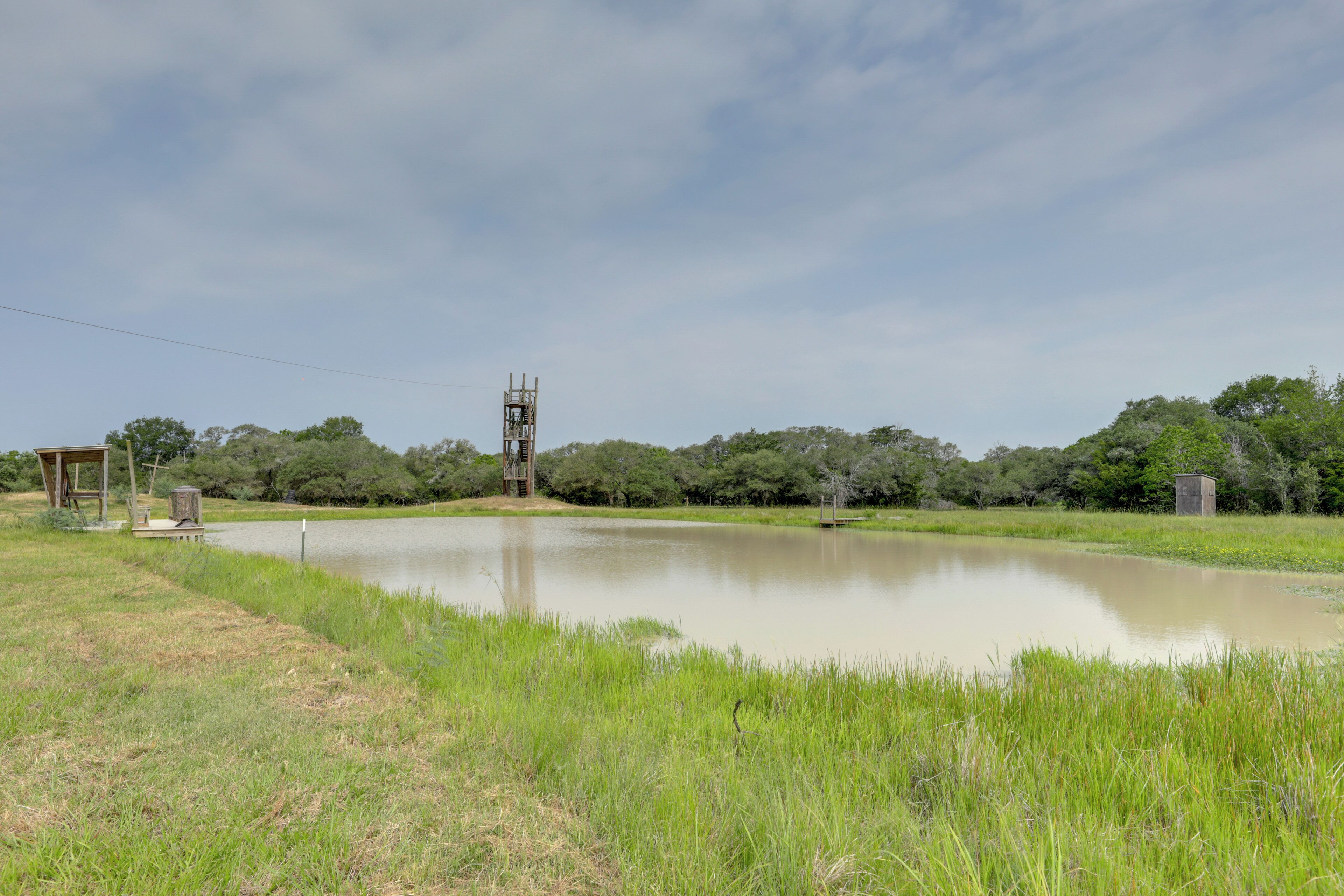 A tranquil outdoor setting with a pond, grassy areas, and a small wooden structure.